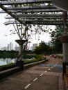 Good morning Bangkok , city view from park.