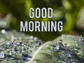 Good Morning Greeting, Wishes, Happy Day Concept. Royalty Free Stock Photo