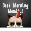 Good morning Monday, with cute grumpy cat Royalty Free Stock Photo