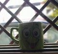 Good morning with my window and tea Royalty Free Stock Photo