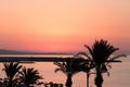 Good morning palm trees Yasmine Hammamet, Tunisia, Africa