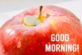 Good morning quote super quality abstract business picture