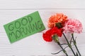 Good morning wish note and colorful carnation flowers.