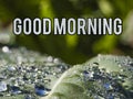 Good Morning Wishes, Greeting, Massage, Happy Day Concept. Royalty Free Stock Photo