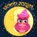 Good night. Card with cute sleeping owl. illustration