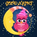 Good night. Card with cute sleeping owl. illustration