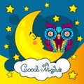Good night card with moon Royalty Free Stock Photo