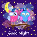 Good night card with a sleeping owls, moon and a clouds. Vector illustration Royalty Free Stock Photo