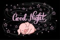 Good night hand drawn lettering with sleeping baby pig cartoon illustration and stars