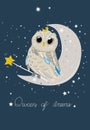 Good night poster for baby room with magic owl. Royalty Free Stock Photo