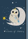 Good night poster for baby room with magic owl. Royalty Free Stock Photo