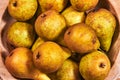 Good pears in a wooden bowl Royalty Free Stock Photo