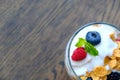 Yogurt with fresh berries Royalty Free Stock Photo