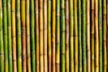 Good quality natural bamboo texture Royalty Free Stock Photo