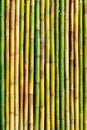 Good quality natural bamboo texture