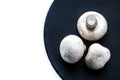Giant champignons on black shale plate Royalty Free Stock Photo