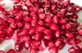 The good quality pomegranat seeds in white plate.