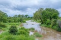 Good seasonal rains in Kruger January 2020