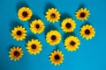 Artificial sunflower on blue background