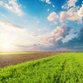 Good sunset in clouds over green field Royalty Free Stock Photo