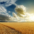 Good sunset over harvesting field Royalty Free Stock Photo
