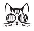 Good Vibes Kitty Cat Face with Sunglasses Royalty Free Stock Photo