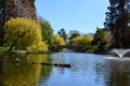 Goodacre Lake in Beacon Hill Park Royalty Free Stock Photo