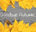 Goodbye Autumn text banner