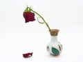 Goodbye my love. Dying rose. Royalty Free Stock Photo