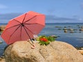 Goodbye Romantic Summer Hello Autumn  August Season Wild tree Autumn leaves and stone on  beach sand red Rowanberry  glass  fres Royalty Free Stock Photo