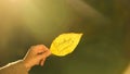 Goodbye summer written on autumn leaf, hand holding writings, golden season Royalty Free Stock Photo