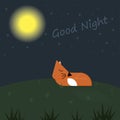 Goodnight card sleeping red fox under the moon and star