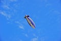 Goodyear Blimp Spirit of America in Flight