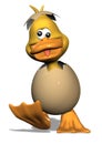 Goofy Duckling Royalty Free Stock Photo
