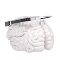 Google Glass and brain Royalty Free Stock Photo