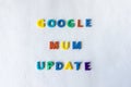 Google Mum Update