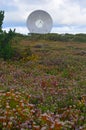 Massive satellite communications dish at Goonhilly, Cornwall, UK Royalty Free Stock Photo