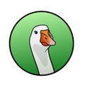 Goose head looking forwards in a green colored circle. Animal illustration for kids book and biology lesson. Logotype for farm