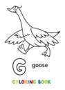 Goose. Animals ABC coloring book for kids