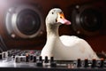 A goose as a Discjockey created with generative AI technology Royalty Free Stock Photo