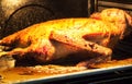 The goose baked in an oven