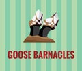 Goose barnacles Royalty Free Stock Photo