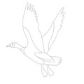 Goose canadian, .vector illustration,lining draw ,profile Royalty Free Stock Photo