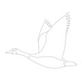 Goose canadian, .vector illustration,lining draw ,profile Royalty Free Stock Photo
