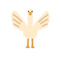 Goose, cute funny bird. Adorable happy gosling spreading wings. Feathered animal, poultry. Kawaii comic country fowl