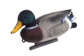 Goose decoy isolated