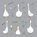 Goose Doodles Set. Cute Geese sketch. Hand drawn Cartoon Vector illustration