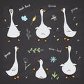 Goose Doodles Set. Cute Geese sketch. Hand drawn Cartoon Vector illustration on chalkboard background