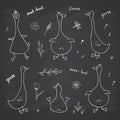 Goose Doodles Set. Cute Geese sketch. Hand drawn Cartoon Vector illustration on chalkboard background Royalty Free Stock Photo