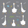 Goose Doodles Set. Cute Geese sketch. Hand drawn Cartoon Vector illustration